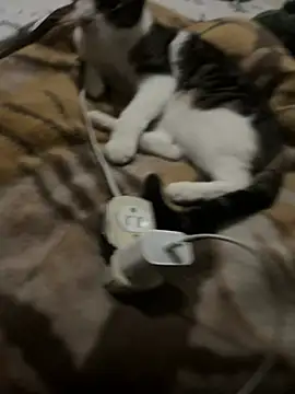 K Intraven0us online show from 02-19-26, 03:14