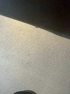 Miguel16i online show from 02-26-25, 04:49