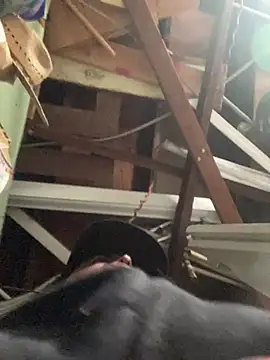 Miguel16i online show from 03-17-25, 07:58