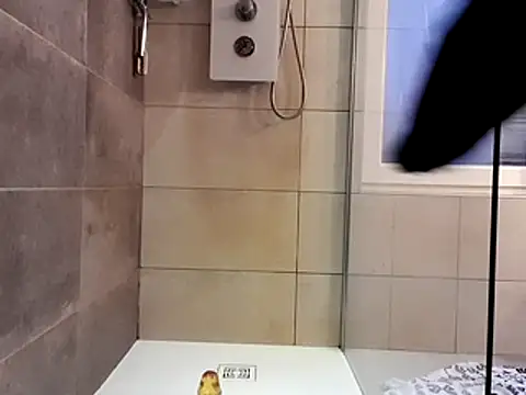 Snapshot of nfean2 chatting on 11-30-25, 03:57 nfean2 online show from 11-30-25, 03:57