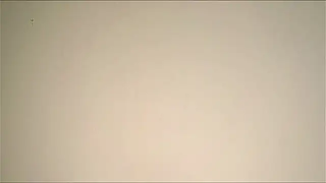 Elation Evy online show from 03-19-26, 01:38