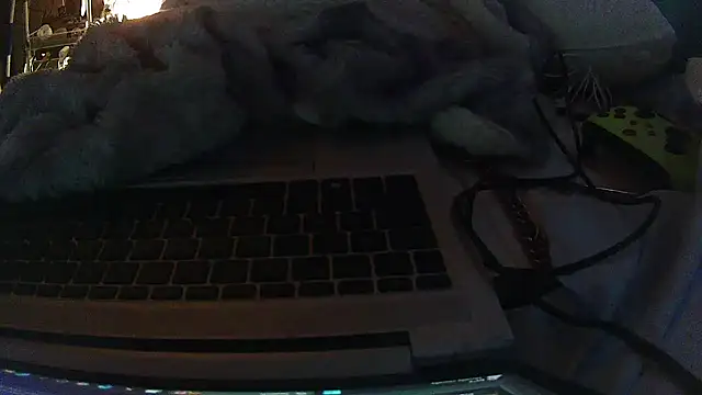 jaxx12369 online show from 02-10-26, 07:35