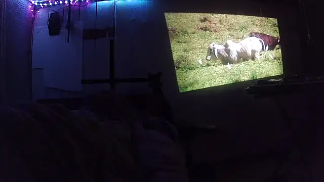 jaxx12369 online show from 02-28-26, 06:35