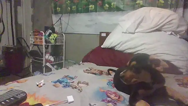 jaxx12369 online show from 03-28-26, 05:41