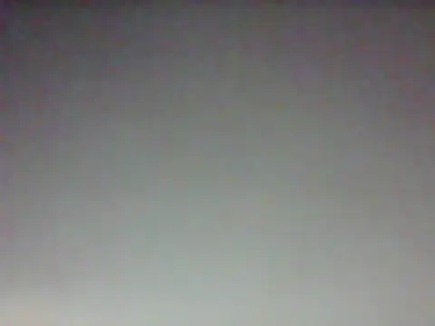 margiale84 online show from 02-02-26, 08:19