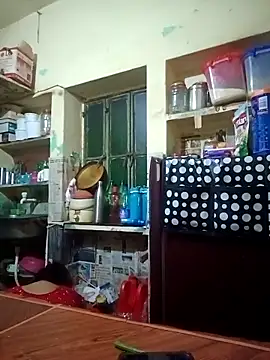 Snapshot of Payel-sharma chatting on 03-12-25, 07:13 Payel-sharma online show from 03-12-25, 07:13