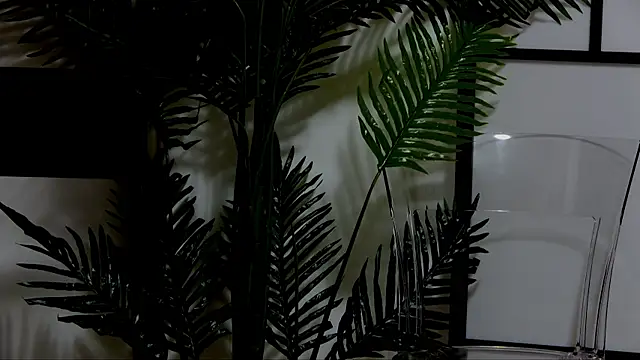 OnlyXandra online show from 10-24-25, 04:50