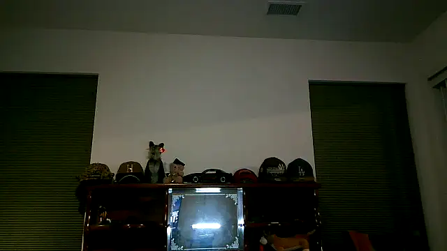 pimpdaddy4ever online show from 03-08-26, 02:37