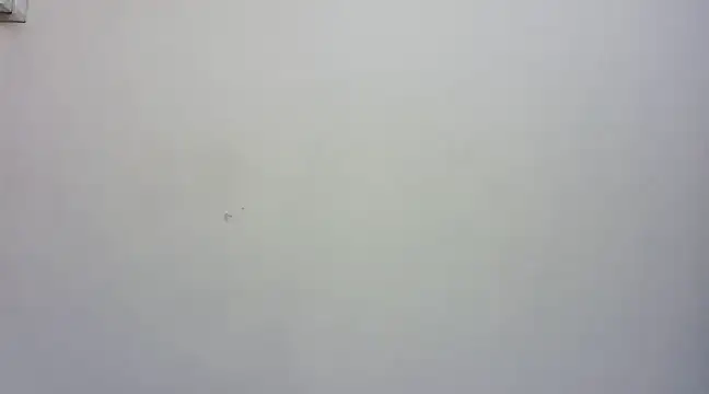 ANSHIKHA KAUR online show from 12-19-24, 12:45