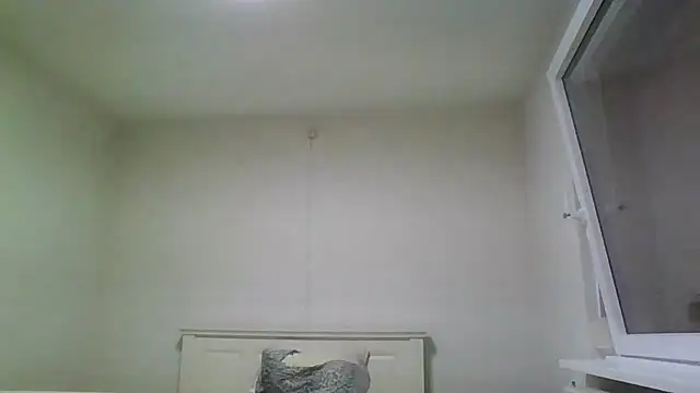 Snapshot of Wesleymodel chatting on 02-10-26, 07:24 Wesleymodel online show from 02-10-26, 07:24