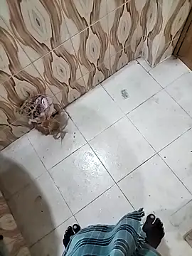 bas1cooks online show from 09-30-25, 03:23