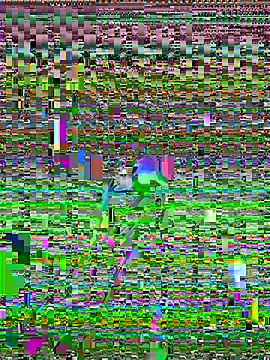cadenfoxx111 online show from 05-13-26, 05:20