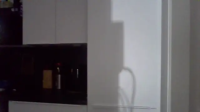 penzler86 online show from 04-10-26, 11:01