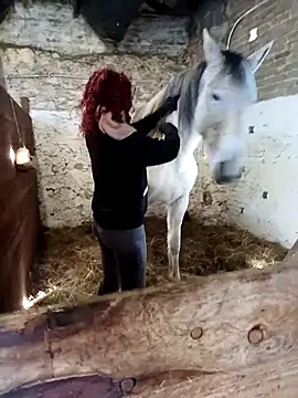 Tortuga95PL online show from 02-12-26, 10:59