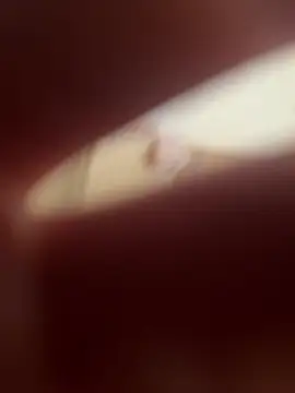 Snapshot of Kemenyfasz93 chatting on 03-09-25, 12:42 Kemenyfasz93 online show from 03-09-25, 12:42
