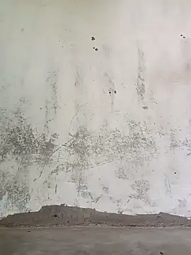 Yasha 14C Creator online show from 10-13-25, 04:03