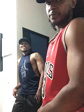 gavi 19cm online show from 11-17-25, 10:58