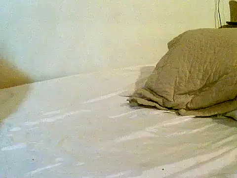 Snapshot of pollarikaaa chatting on 11-03-25, 01:11 pollarikaaa online show from 11-03-25, 01:11