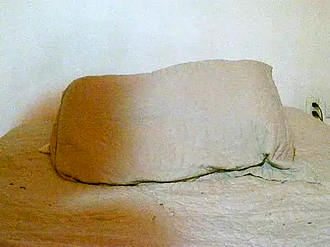 Snapshot of pollarikaaa chatting on 12-14-25, 12:06 pollarikaaa online show from 12-14-25, 12:06