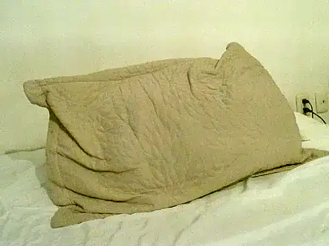 Snapshot of pollarikaaa chatting on 11-06-25, 10:58 pollarikaaa online show from 11-06-25, 10:58