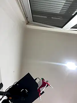 Snapshot of Kamaleonix chatting on 12-16-25, 10:25 Kamaleonix online show from 12-16-25, 10:25