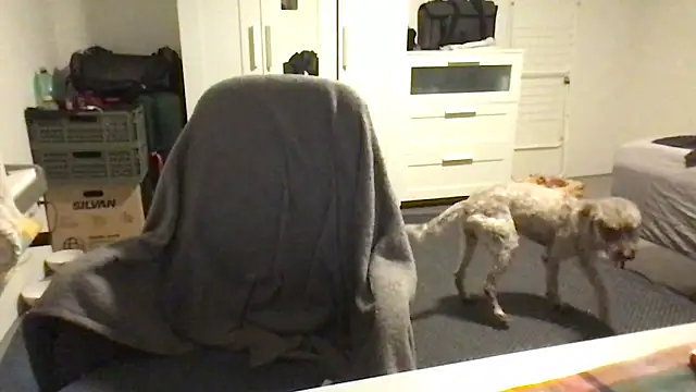 Totipro69 online show from 02-16-25, 07:05