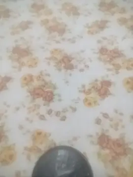 Working- online show from 01-19-26, 12:09