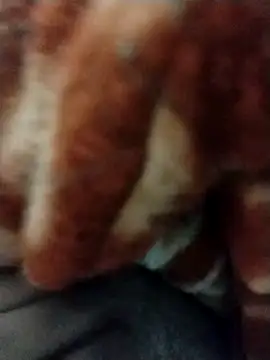 Snapshot of myhot1551 chatting on 02-16-25, 06:43 myhot1551 online show from 02-16-25, 06:43