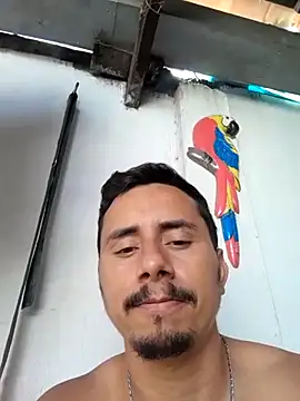 luissilva0071 online show from 02-04-25, 03:26