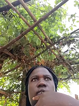 missarpie online show from 01-15-26, 11:35