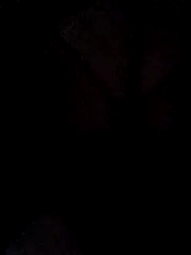 hugebobbs online show from 03-16-26, 11:03