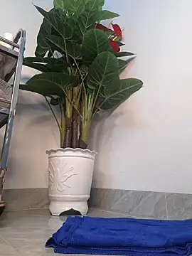 Dawn hope online show from 03-24-26, 09:42