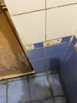 Vijaydfuhgghj online show from 03-10-26, 06:34