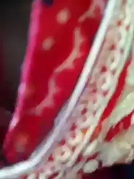 Snapshot of Bengoli--bhabhi chatting on 02-22-25, 04:18 Bengoli--bhabhi online show from 02-22-25, 04:18