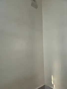 Snapshot of JemaimaPrincess chatting on 02-20-26, 06:19 JemaimaPrincess online show from 02-20-26, 06:19