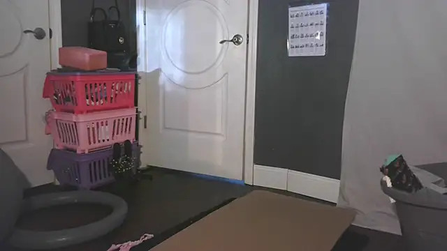 paytonkelly online show from 03-12-26, 09:52