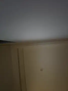 Snapshot of palzkybi123 chatting on 03-01-26, 01:00 palzkybi123 online show from 03-01-26, 01:00