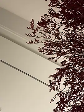 palzkybi123 online show from 10-22-25, 12:04