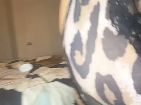 Snapshot of Missredboneo12 chatting on 10-26-25, 04:46 Missredboneo12 online show from 10-26-25, 04:46