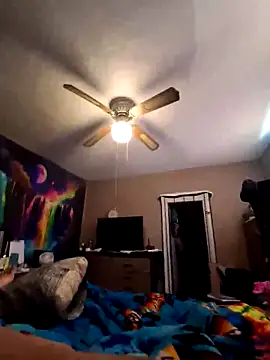 nuttinbuttcock69 online show from 05-08-26, 04:44