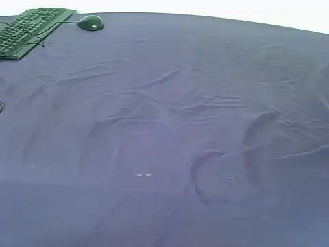 laetitia  online show from 01-06-26, 01:48