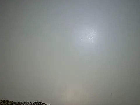 Snapshot of Toxique_ chatting on 06-26-26, 05:52 Toxique online show from 06-26-26, 05:52