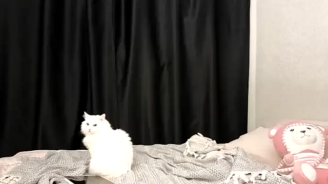 vse horosho online show from 09-24-25, 06:03