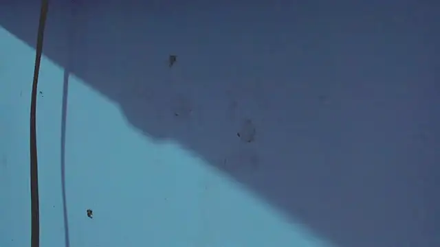 Kimberly thompsom online show from 01-31-25, 11:45