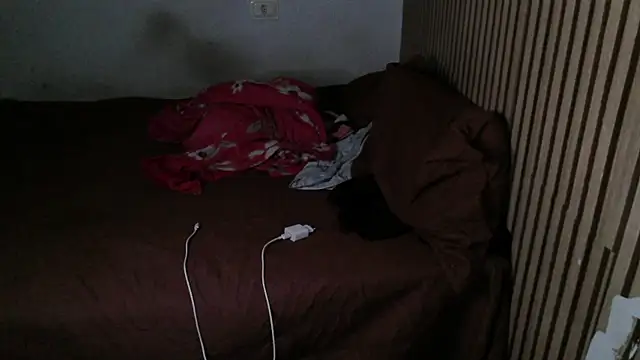 Dedel199 online show from 11-29-25, 01:33