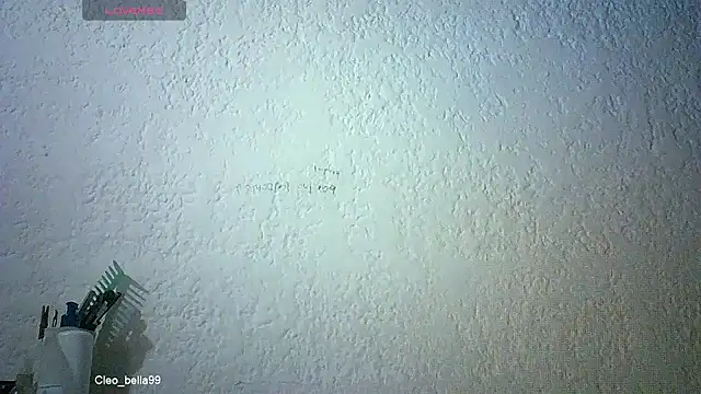 Bellabeltrann online show from 05-20-26, 07:38