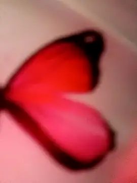 Snapshot of _andrea30 chatting on 02-27-25, 03:37  andrea30 online show from 02-27-25, 03:37