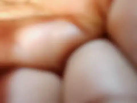 petitev online show from 11-15-25, 04:27