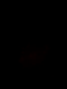 Noviostoxico online show from 10-29-25, 09:36