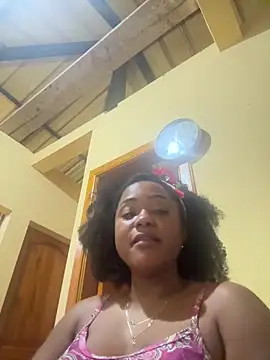 Noviostoxico online show from 11-06-25, 07:29